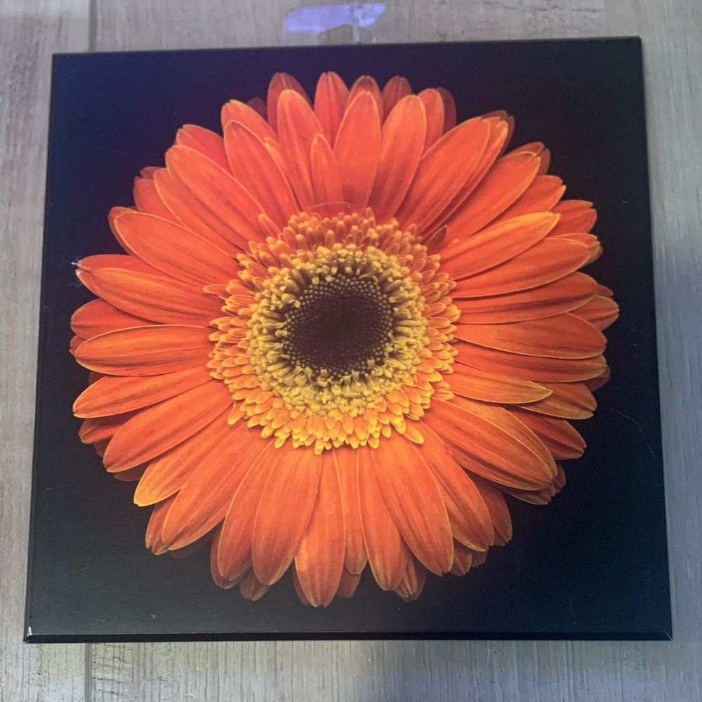 Target Orange and Yellow Floral Wall Art